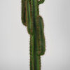 LABEL51 Cactus - Groen - Kunststof - 130 cm Kunststof