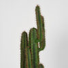 LABEL51 Cactus - Groen - Kunststof - 130 cm - Afbeelding 4