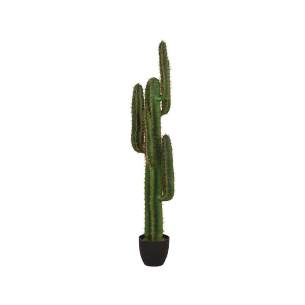 LABEL51 Cactus - Groen - Kunststof - 130 cm Cactus