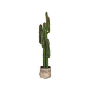 LABEL51 Cactus - Groen - Kunststof - 130 cm