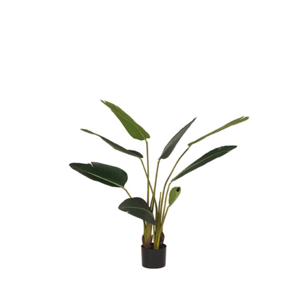 LABEL51 Strelitzia - Groen - Kunststof - 100 cm Strelitzia