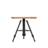 D-MAXX Bijzettafel Solid - Rough - Mangohout - 45 cm - Rond Solid